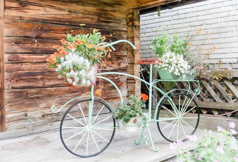 Bed and Breakfast Sportpension Carinthia