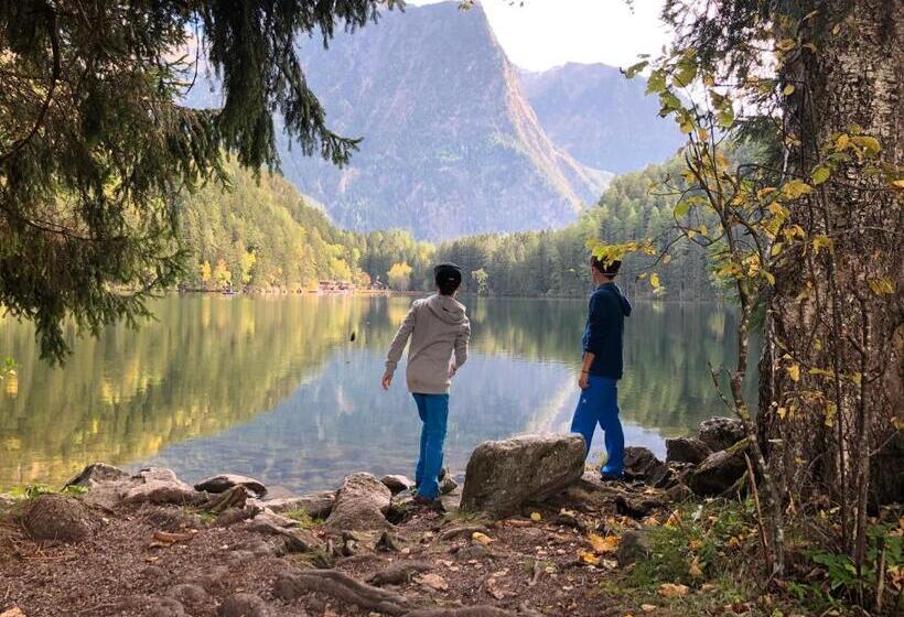 Bed and Breakfast Sportpension Carinthia