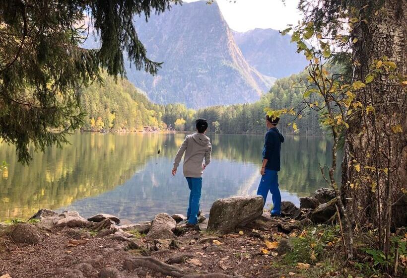 Bed and Breakfast Sportpension Carinthia