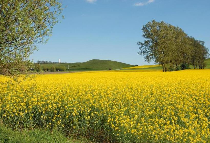 Bed and Breakfast Vallebergaslätt