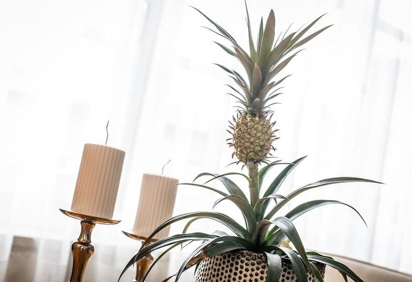 Die Wunder S Ferienpension