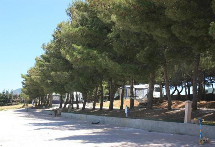 ホテル Agriturismo Le Rondini Di San Bartolo