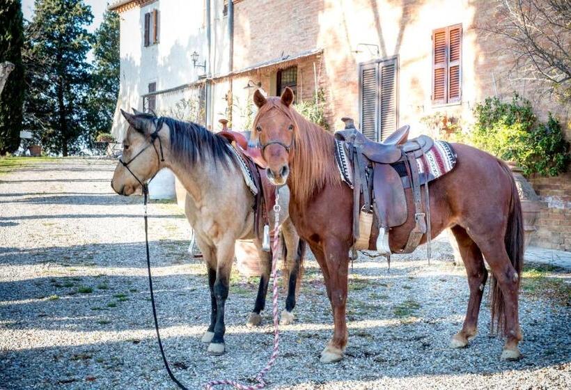 酒店 Agriturismo Pieve Sprenna