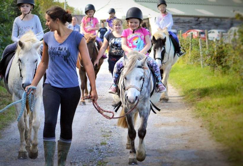 فندق Clyne Farm Centre