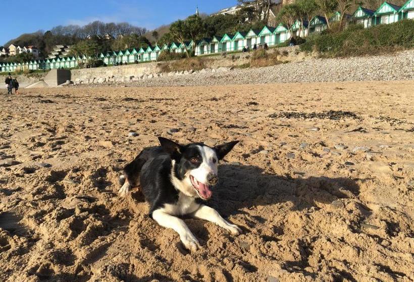 فندق Clyne Farm Centre