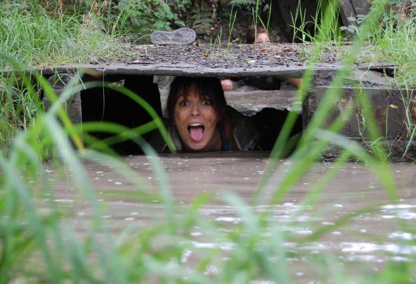 فندق Clyne Farm Centre