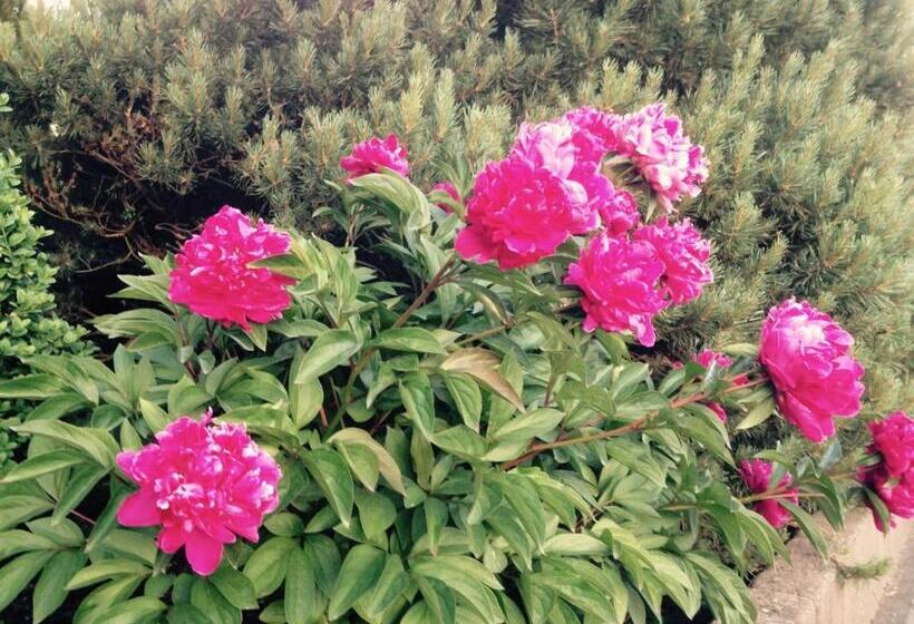 ホテル Gästehaus Hannelore