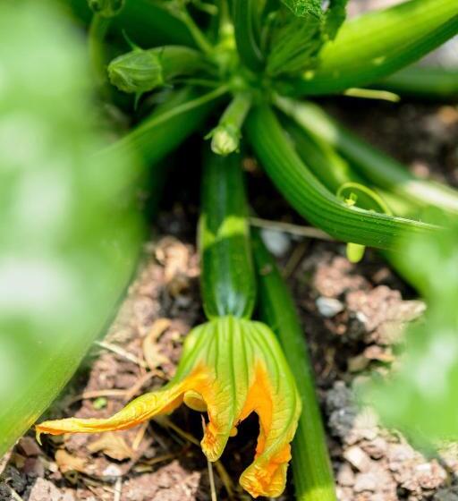 호텔 Il Bagnolo Eco Lodge