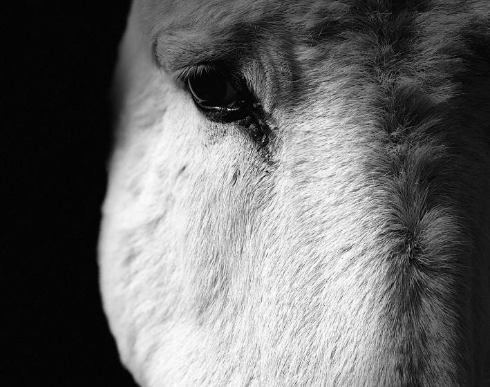 בית מלון כפרי La Ferme De Durbuy