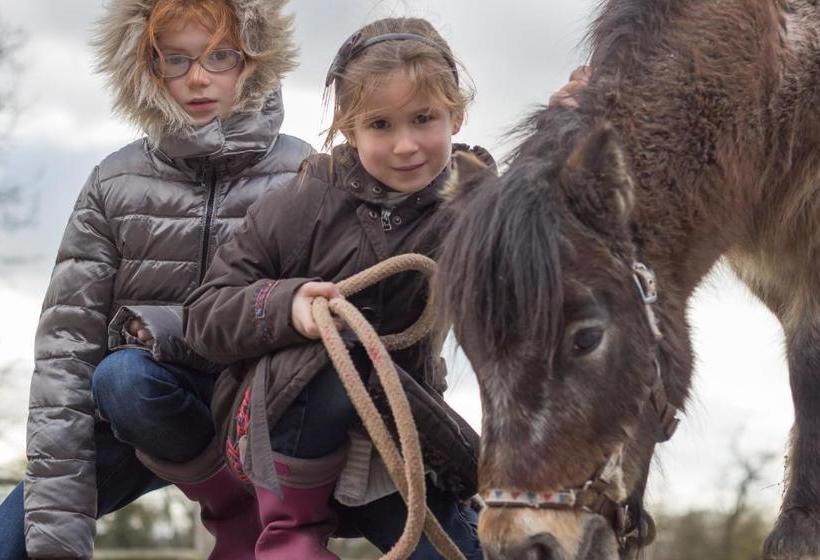 בית מלון כפרי La Ferme De Durbuy