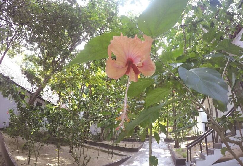 فندق Perhentian Tivoli Inn