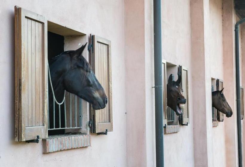 בית מלון כפרי San Giacomo Horses & Agriturismo