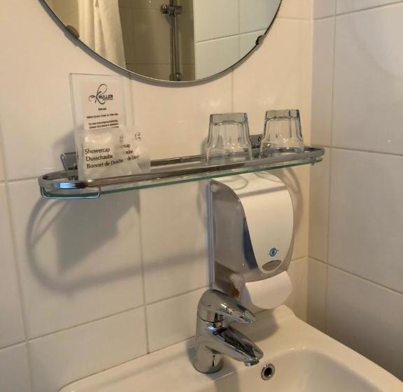 בית מלון כפרי T Witte Hoes