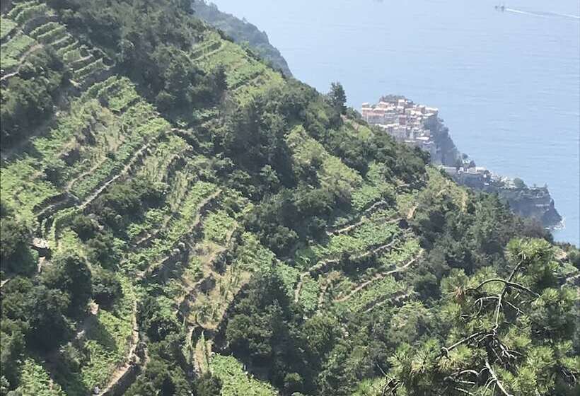 酒店 Un Angelo Alla Mia Tavola