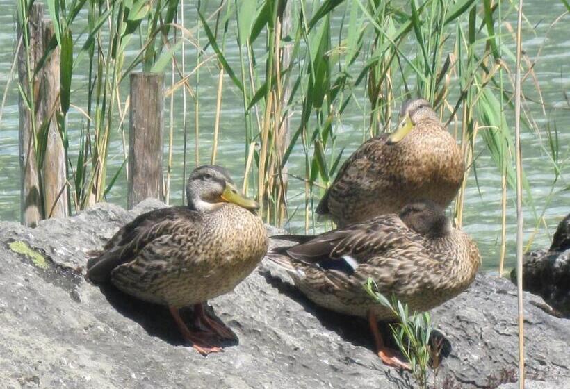 Landhaus Leitner Am Wolfgangsee