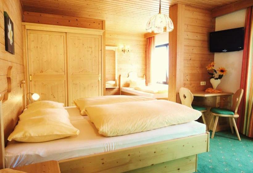 פנסיון Alpenhof Schwaiger   Hotel Garni