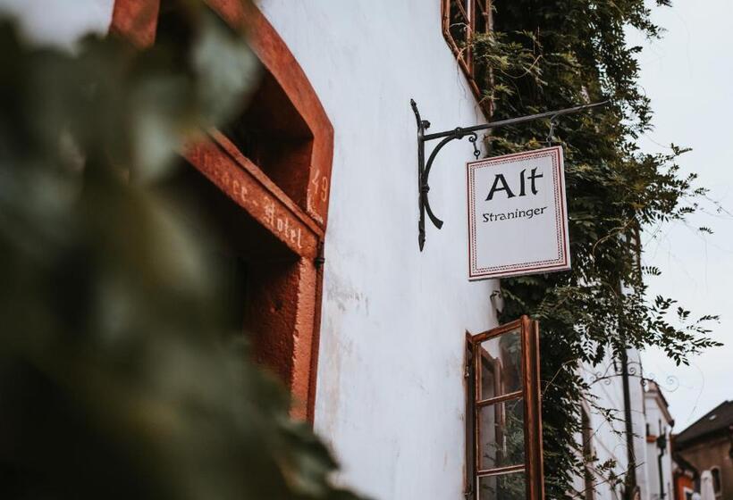 膳宿费 Alt Straninger