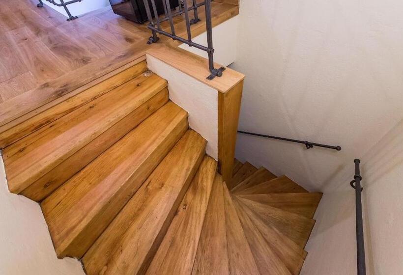 膳宿费 Alt Straninger