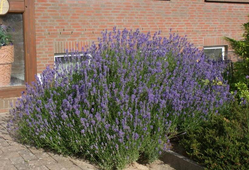 پانسیون Amselhof