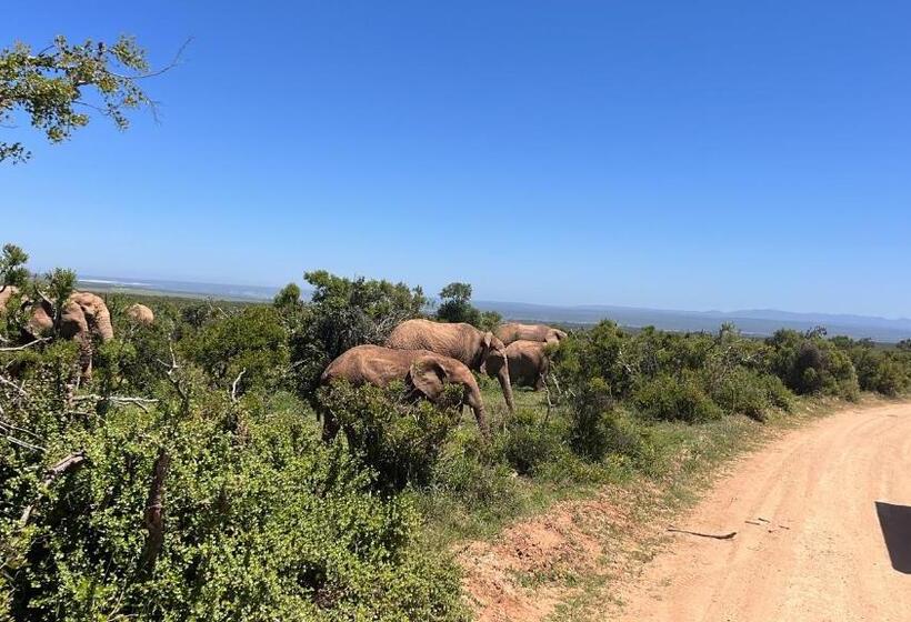 ペンション Beyond Cui Bono