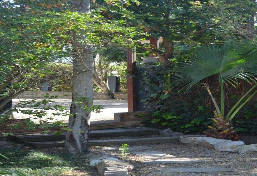 ペンション Beyond Cui Bono