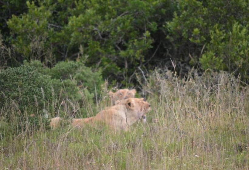 ペンション Beyond Cui Bono
