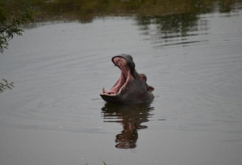 ペンション Beyond Cui Bono