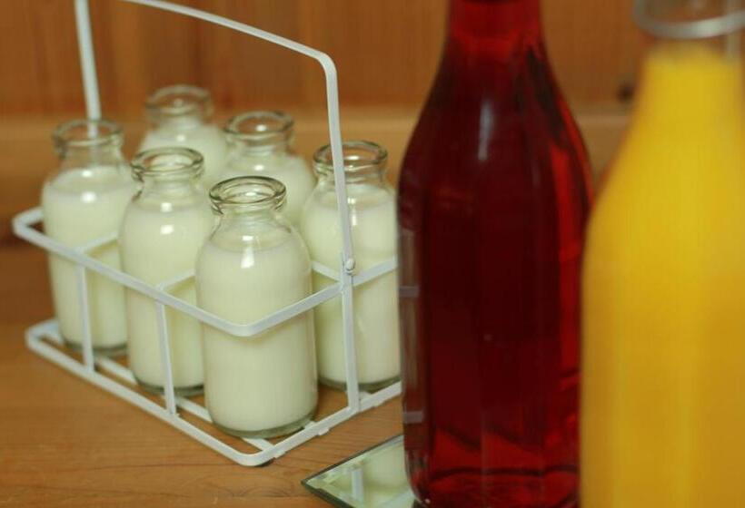 膳宿费 Capernwray House