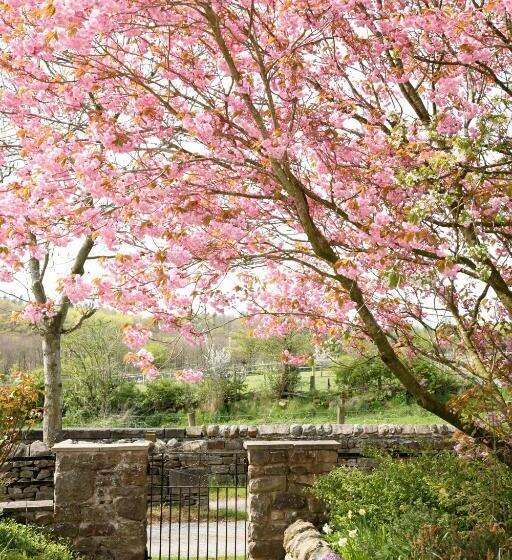 膳宿费 Capernwray House