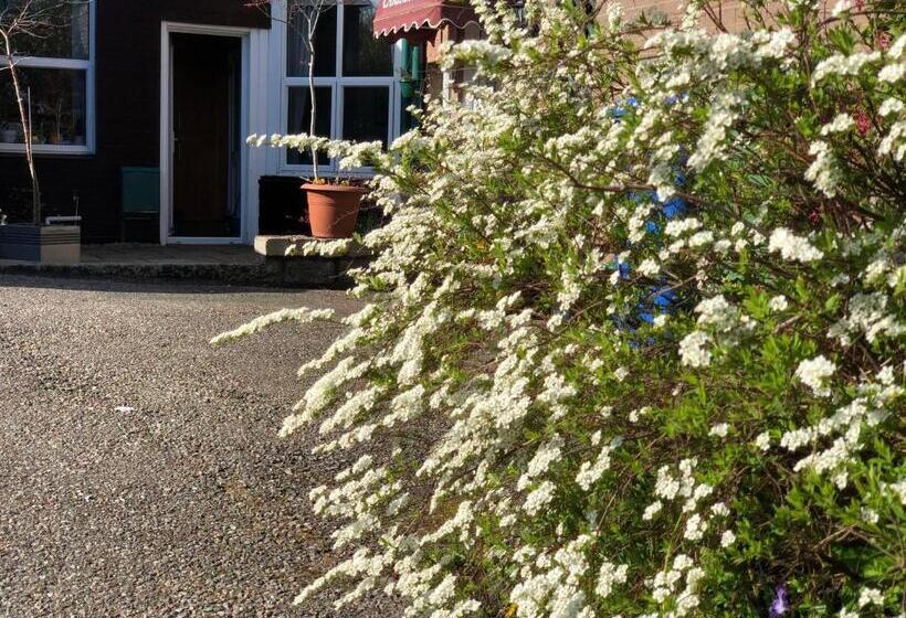 膳宿费 Carisbrooke Guest House