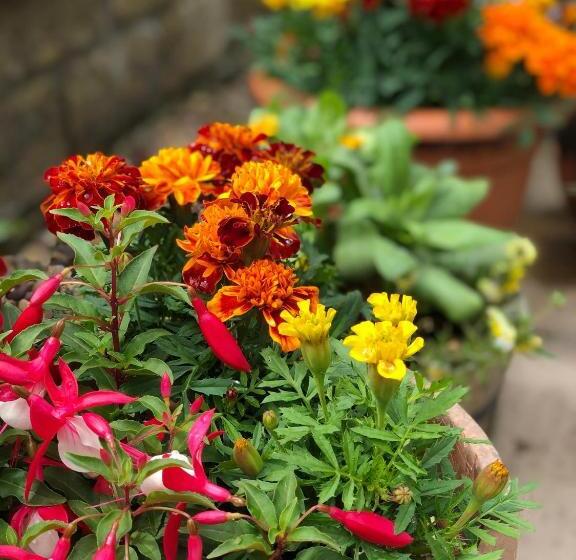 膳宿费 Carisbrooke Guest House