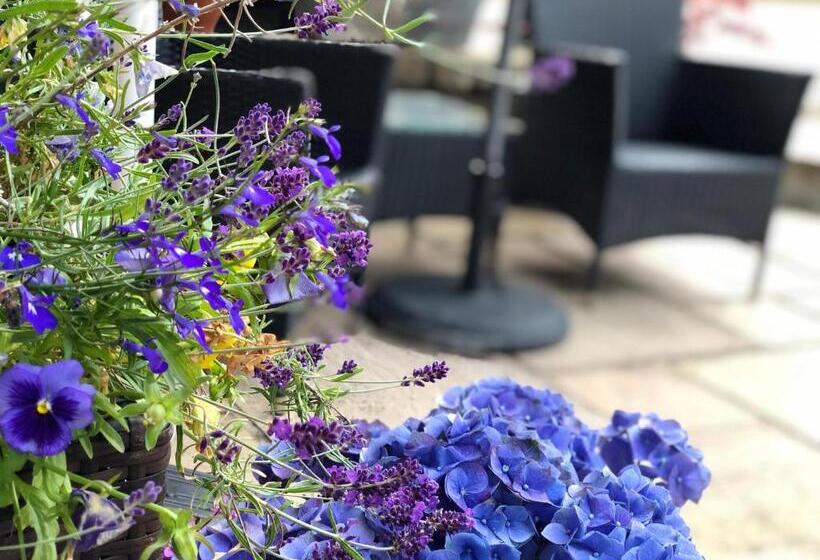 膳宿费 Carisbrooke Guest House