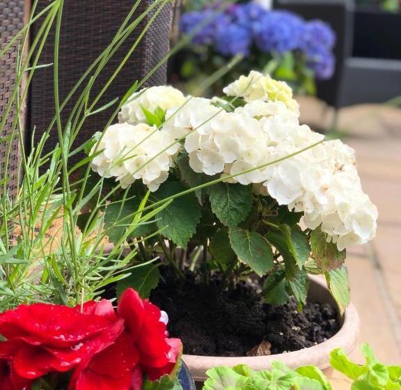 膳宿费 Carisbrooke Guest House