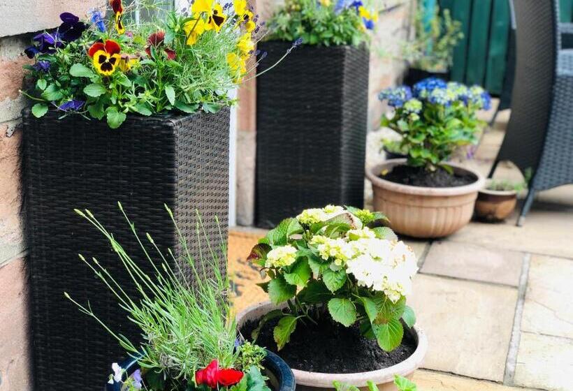 膳宿费 Carisbrooke Guest House