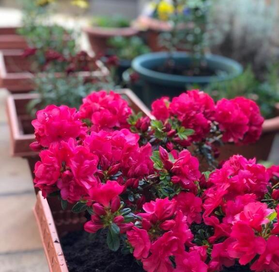 膳宿费 Carisbrooke Guest House