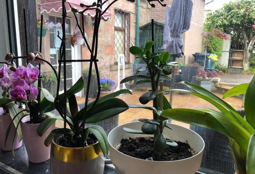 膳宿费 Carisbrooke Guest House