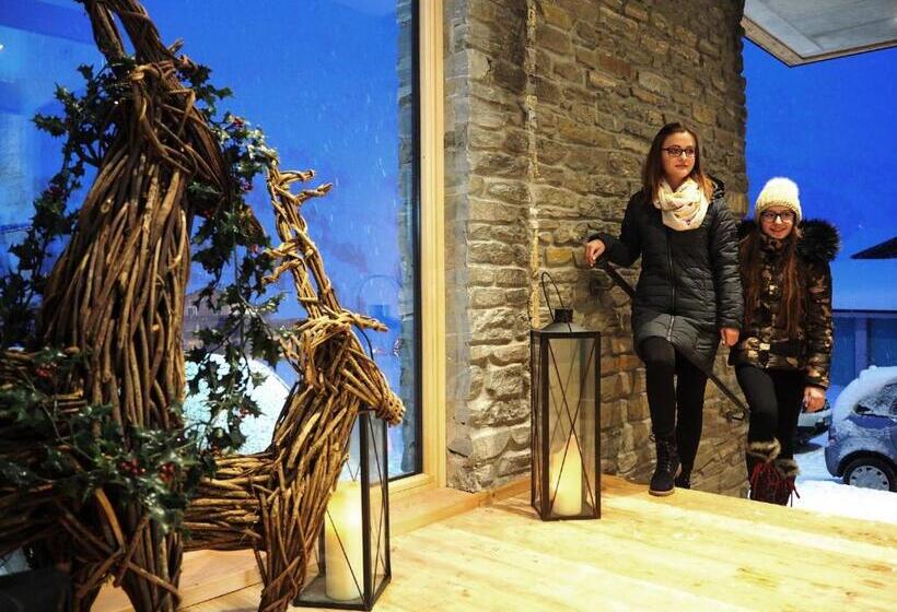 بنسيون Dav Haus