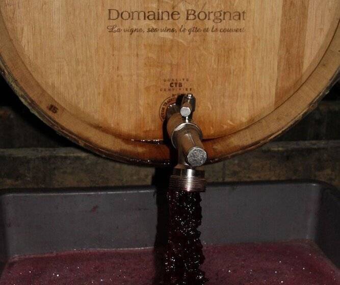펜션 Domaine Borgnat