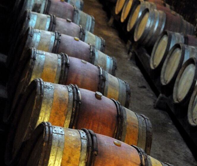 펜션 Domaine Borgnat