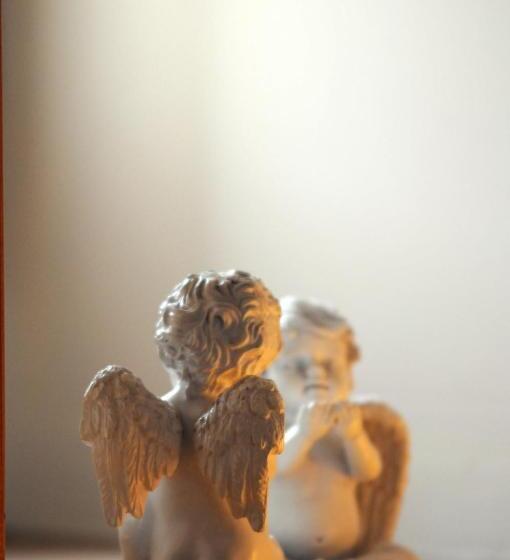 펜션 Domaine Borgnat