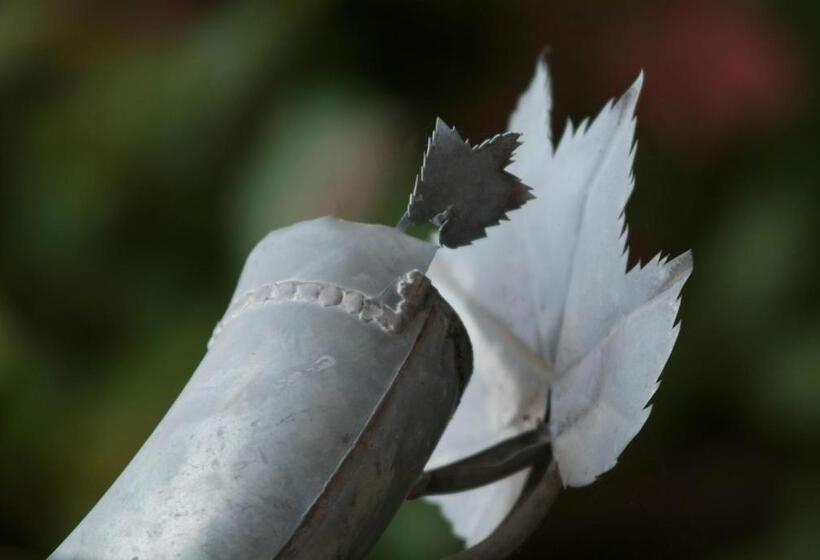 펜션 Domaine Borgnat