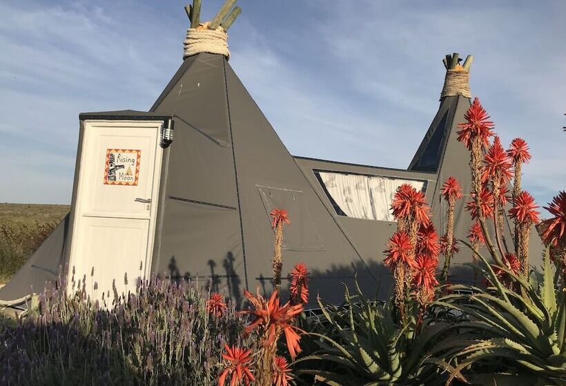 بنسيون Farr Out Guesthouse