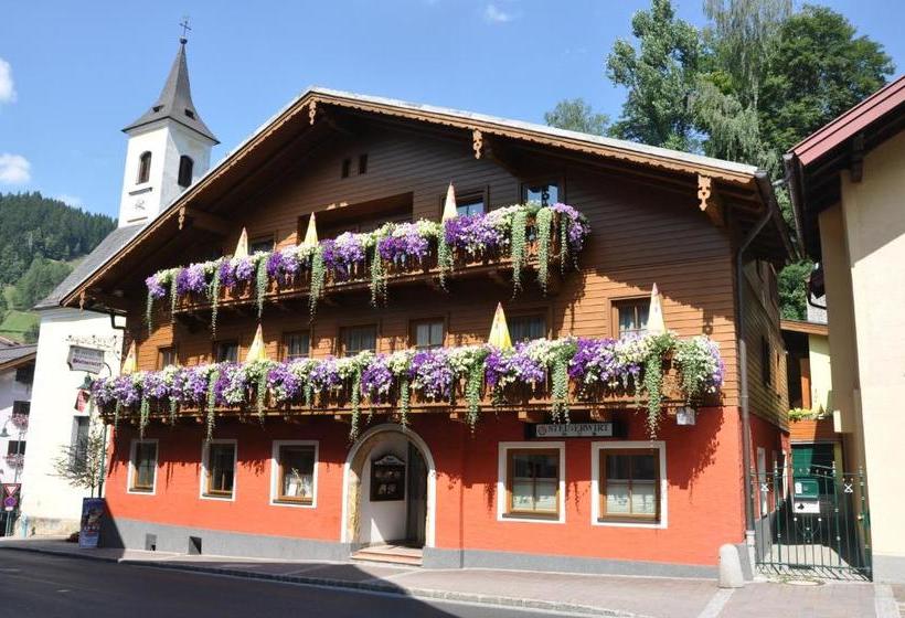 펜션 Der Steinerwirt