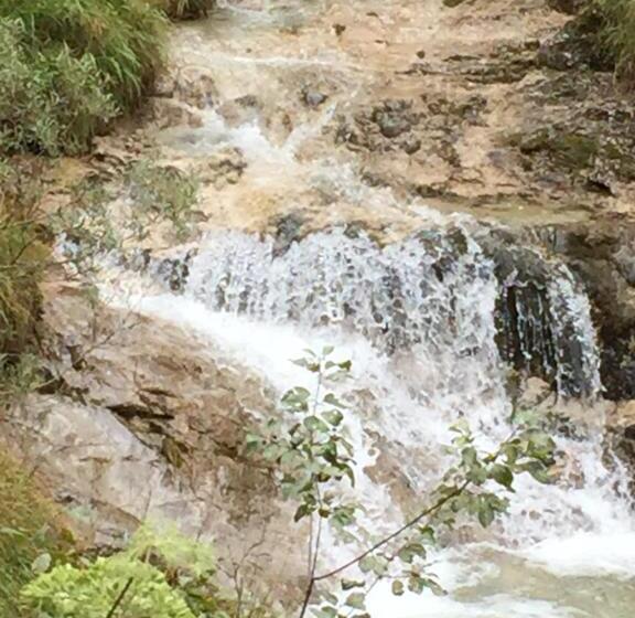 Пансион Gästehaus Tanneck