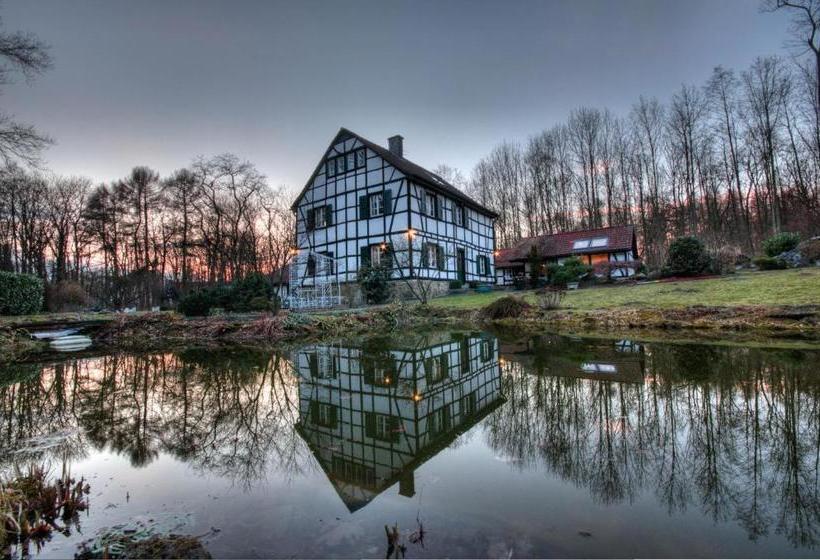 Пансион Gästehaus Wahnenmühle