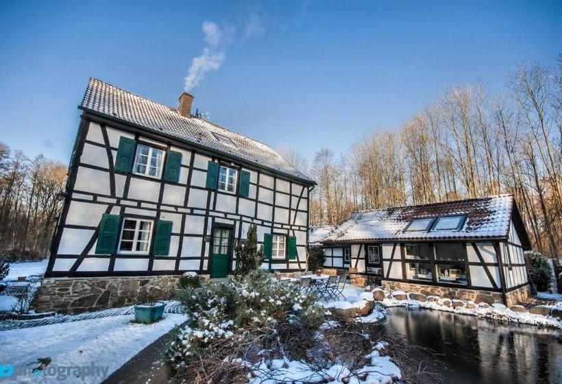 펜션 Gästehaus Wahnenmühle