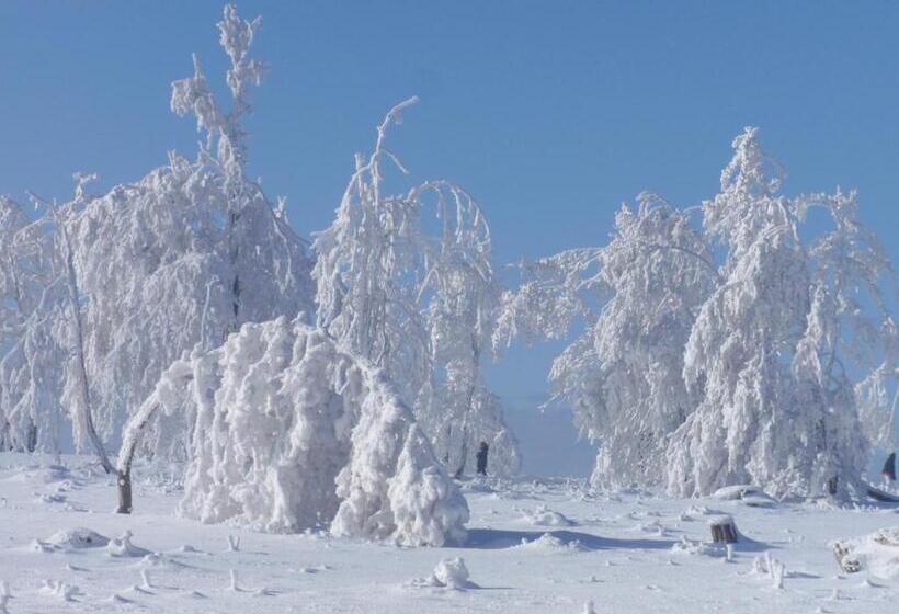 Пансион Hildfelder Stübchen
