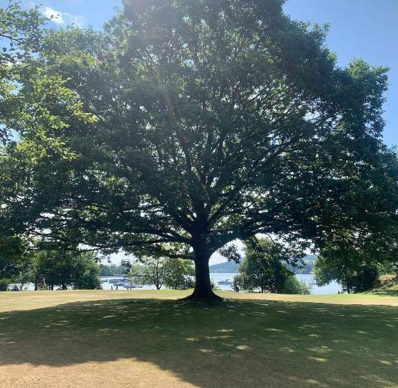 Pensionat Hillsdale B&b In Ambleside