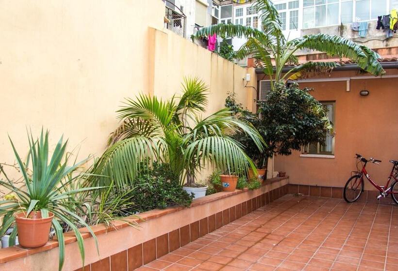 Пансион Hostal Baler