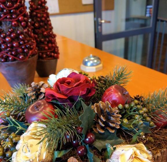 پانسیون Kolping Gästehaus